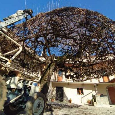 IMG_20200308_150738_Fotor_L