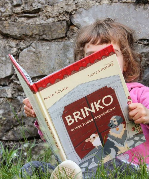 Brinko in ena kraška dogodivščina